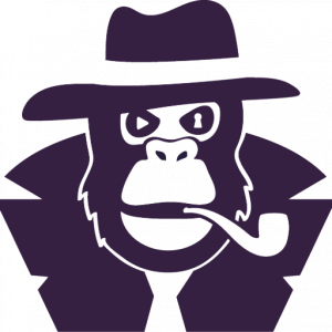 Logo playheure violet